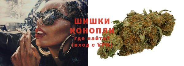 гидропоника Медногорск