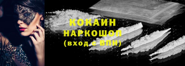 твердый Мегион
