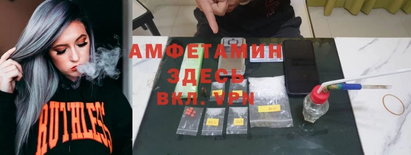 твердый Мегион