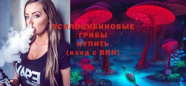 гашик Магас