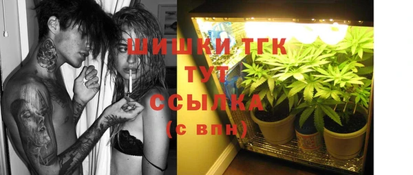твердый Мегион