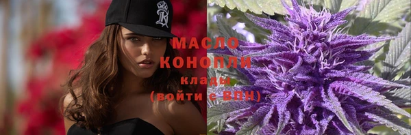 гидропоника Медногорск