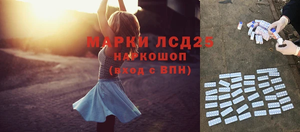 гашик Магас
