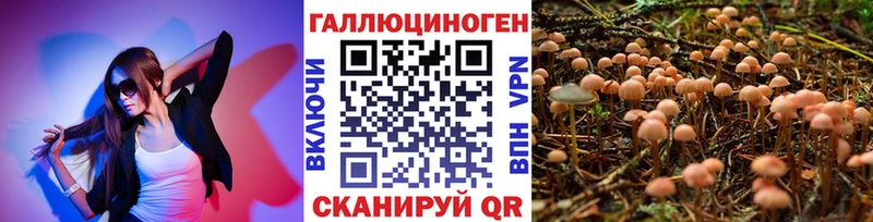 дарк нет клад  Хилок  Псилоцибиновые грибы MAGIC MUSHROOMS 